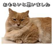 856795420