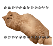 856795432