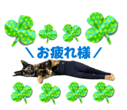 856795528