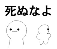 856795559