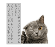856796223