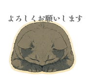 856796230