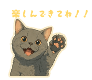 856796233