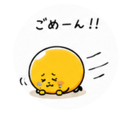 856796262