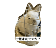 856796530