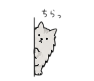 856797076