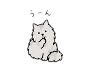 856797081