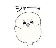 856797441