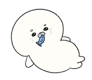 856797445