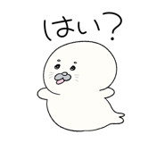 856797455