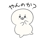 856797456