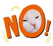 856797518