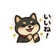 856797638
