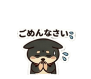 856797647