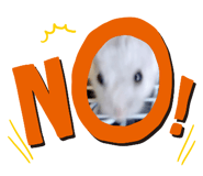 856798669