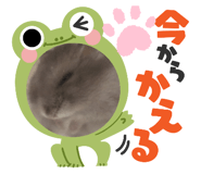 856798671