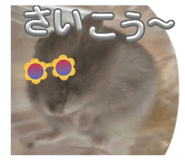 856798702