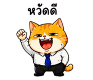 856798711