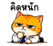 856798719
