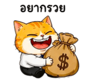 856798721