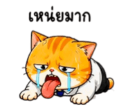 856798725