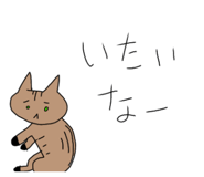 856799026