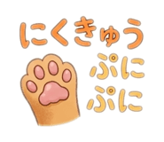 856799126
