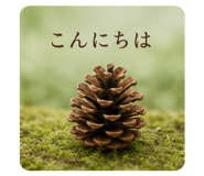 856799162