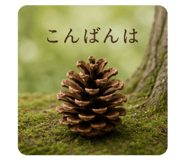 856799163
