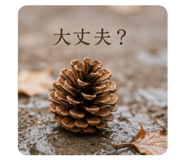 856799165