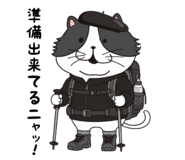 856799216