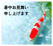 856799762