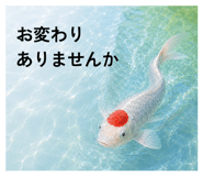 856799764
