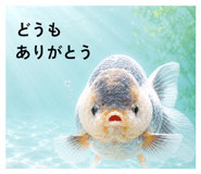 856799771