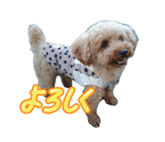 856799900