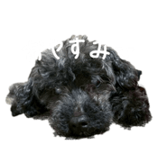 856799941