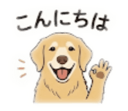 856799955