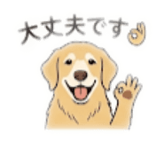 856799958