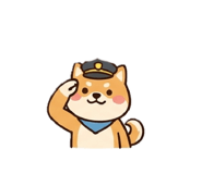 856799981