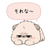 856800017