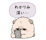 856800018
