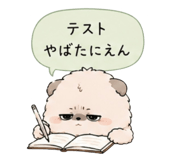 856800019
