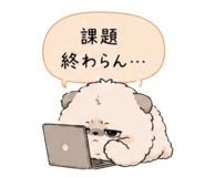 856800020