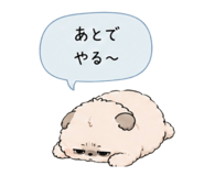 856800021