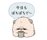 856800024