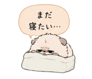 856800029