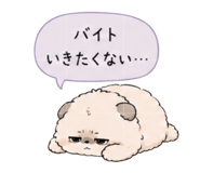 856800035