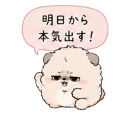 856800037