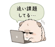 856800038