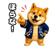 856800126